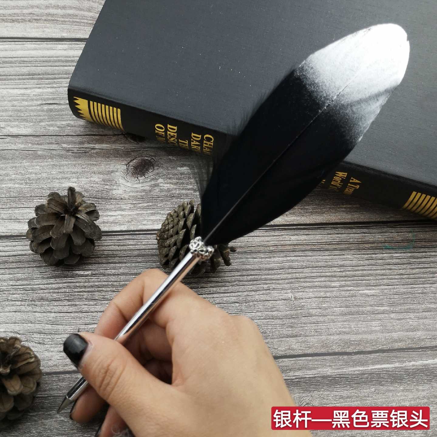 Product Image Gallery