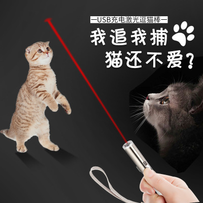 Pet Cat Toy Red Dot Infrared USB Rechargeable Laser Cat Teaser Factory in Stock Wholesale