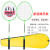REGAIL,New design steel badminton racket,4 colours with bag,item no 766