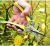 Gardening Scissor Outdoor Garden Scissors Gardening Pruning Shear Fruit Picking and Grafting Tool Customization