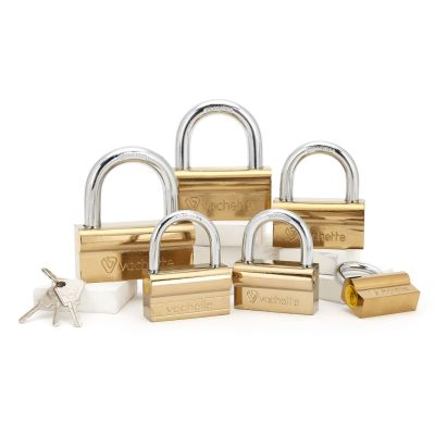 Camel Lock Iron Core Copper Core Padlock Factory Wholesale Pujiang Padlock Hardware Lock Door Lock Padlock Open