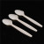 Disposable Spoon Environmentally Friendly Takeaway Spoon Degradable Knife, Fork and Spoon Corn Starch Dessert Fruit Salad Spoon