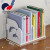 Simple Bookshelf Student Dormitory Desktop Storage Rack Children Cartoon Book Shelf Office Multi-Functional Storage Rack