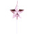Party Supplies Love Candle Five-Pointed Star Heart-Shaped Candle Party Birthday Party Cake Candle