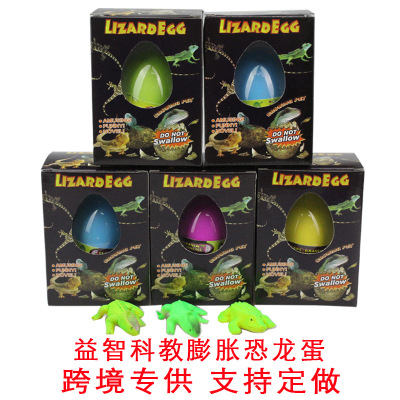 Cross-Border Hot Selling Novelty Dinosaur Expansion Egg Incubation Rejuvenating Device Extra Large Bubble Water Grow up Educational Stall Toys