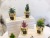 Nordic Home Desktop Decoration Ceramic Plating Golden Bonsai Simulation Succulent Cactus Plant Ornaments Wholesale