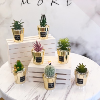 Nordic Home Desktop Decoration Ceramic Plating Golden Bonsai Simulation Succulent Cactus Plant Ornaments Wholesale
