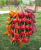 Emulational Fruits And Vegetables Strings Whole Farmhouse Hanging Ornaments Fake Fruit Hanging String Garlic Corn Pepper
