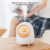 New Cute Pet Humidifier Bedroom Portable Space Capsule Large Capacity Water Replenishing Instrument Small Night Lamp USB