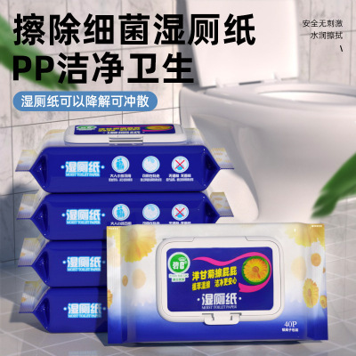 Factory Wholesale Bic Wet Toilet Paper Family Pack Portable Wet Toilet Paper Washable Degradation Antibacterial Toilet Cleaner Wipes 40 Sheets