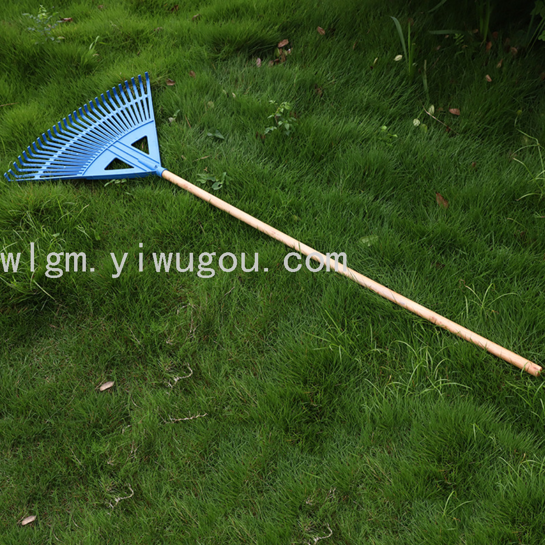 Product Image Gallery