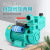 Self-Priming Pump High Pressure Hot And Cold Water Household Water Heater Booster Pump Booster Pump Clean Water Pump Small Pump 220V