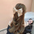 Red Big Bow Hairpin Internet Celebrity Back Head Elegant Hairpin Hair Ornaments South Korea 2021new Clip Hairware
