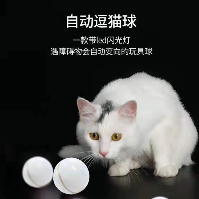 Pet Cat Toy Factory Wholesale Electric Cat Teasing Ball Cat Toy Automatic Rolling Cat Teaser Toy Cat Teasing Ball