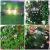 Background Wall Plastic Lawn Green Plant Wall Door Head Shop Recruitment Image Wall Artificial Flower Wall Decoration