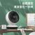 Air Circulator Household Fan Desktop Small Shaking Head Fan Student Mini Noiseless Hongyun Desk Fan Remote Control