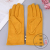 Gloves Autumn and Winter Female Warm Velvet Padded Thickened Driving and Biking Wind-Proof and Cold Protection Students with Touch Screen Korean Pearl Gloves