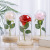 Preserved Fresh Flower Glass Cover Wholesale Amazon Cross-Border Gift for Girlfriend to Give Mom for Wife for Teacher Creative Gift
