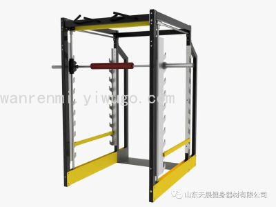 Tianzhan Bumblebee TZ-6079 Professional Machine 3D Smith Machine Commercial Fitness Equipment