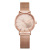 Hot Selling Product Shengke Shengke Steel Mesh Strap Watch Diamond Women's Watch 2-Pin Quartz Watch K0093