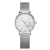 Hot Selling Product Shengke Shengke Steel Mesh Strap Watch Diamond Women's Watch 2-Pin Quartz Watch K0093