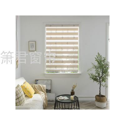 Foreign Trade Factory Direct Curtain Double-Layer Soft Gauze Curtain Louver Curtain Shutter Lifting Simple Soft Gauze Curtain Curtain