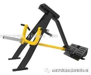 Tianzhan Bumblebee TZ-6071 Professional Machine T Rod Rowing Machine Commercial Fitness Equipment