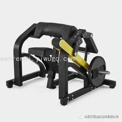 Tianzhan Bumblebee TZ-6074 Professional Machine Biceps Training Aid Commercial Fitness Equipment