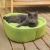 Cute Avocado Pet Bed Cat Nest Detachable Mat Winter Warm Internet Celebrity Doghouse Cathouse Pet Supplies