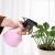 Hand Watering Small Spray Bottle Gardening Watering Pot Household Small Sprinkling Can Spray Bottle Watering Pot