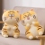 Tiger Plush Toy Doll Pillow 2021 New Tiger Small Pier Boys and Girls Super Soft and Cute Ragdoll Doll