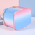 New Gradient Color Portable Cosmetic Bag Ins Wind Net Red Creative Simple Travel Portable Storage Bag