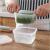 Chopped Green Onion Ginger Slice Garlic Fresh-Keeping Box Refrigerator Fruit and Vegetable Storage Box Kitchen with Lid