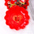 Wedding Supplies Festive Candy Plate Tobacco Sugar Melon Seeds Fruit Happiness Plate Wedding Red Plastic Tray Wholesale