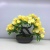 Wholesale Simulation Green Plant Small Bonsai Bonsai Home Decoration Desk Mini Decorative Fake Flower Set Plastic Bonsai