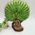 Resin Crafts Double Peacock Open Screen Factory Direct Sales 03 Gift