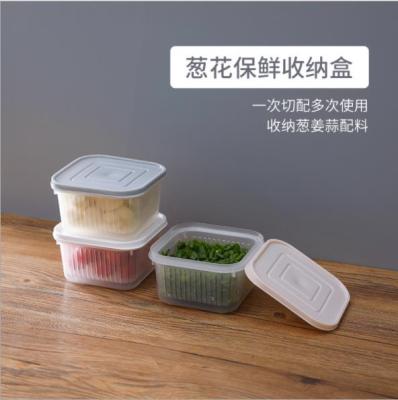 Chopped Green Onion Ginger Slice Garlic Fresh-Keeping Box Refrigerator Fruit and Vegetable Storage Box Kitchen with Lid