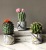 Hanlv Creative Simulation Cactus Craft Bonsai Table Decorative Ornaments Home Decoration Potted Plant