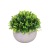 Simulation Baby Tear Plant Bonsai Four-Leaf Clover Office Indoor Grass Fake Flower Pot Table Decoration Greenery Decoration