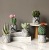 Hanlv Creative Simulation Cactus Craft Bonsai Table Decorative Ornaments Home Decoration Potted Plant
