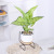 Nordic Ins Ficus Lyrata Potted Large Leaf Simulation Plant Indoor Living Room Four Seasons Simulation Green Plant Factory Wholesale