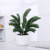 Sago Cycas Bonsai Simulation Plant Evergreen Outdoor Office Cycas Simulation Green Plant Factory Wholesale