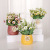 Fashion Nordic Style Simulation Daisy Pot Plant Fake Flower Decoration Small Bonsai Home Decorations Cross-Border Wholesale