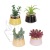 Factory Supply Fashion Nordic Style Simulation Multi-Meat Potted Plant Plant Fake Flower Ornament Decoration Home Goods Cross-Border Wholesale