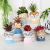 INS Style Cartoon Animal Ceramic Flower Pot Personalized Artificial Flower Succulent Bonsai Creative Animal Ornaments