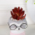 INS Style Cartoon Animal Ceramic Flower Pot Personalized Artificial Flower Succulent Bonsai Creative Animal Ornaments