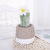 Retro Idyllic Simulation Succulent Decoration Plant Bonsai Pot Combination Shop Coffee Shop Hotel Home Decoration
