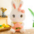 Rabbit Doll Pillow Peach Rabbit Doll Doll Toy Throw Pillow Children's Gift Plush Toy