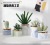 INS Style Nordic Bonsai Artificial Succulent Pant Fake Flower and Greenery Decoration Living Room Interior Cactus Bonsai Ornaments