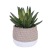 Nordic Ins Simulation Multi-Meat Potted Plant Ornament Furnishing Simple Home Cement Plant Flowerpot Balcony Decoration